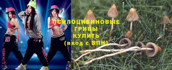 прущая мука Сосновоборск