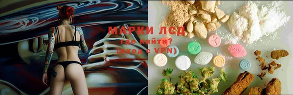 гашиш Сосновый Бор
